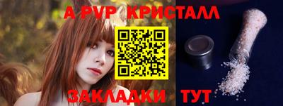 дмт Тара