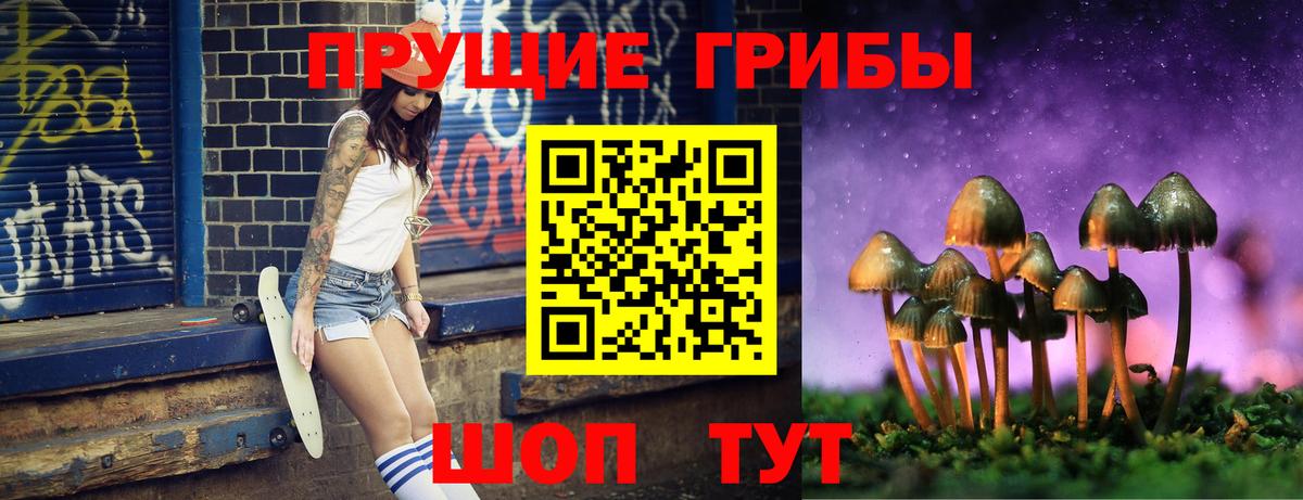 Псилоцибиновые грибы Psilocybe Нижний Тагил
